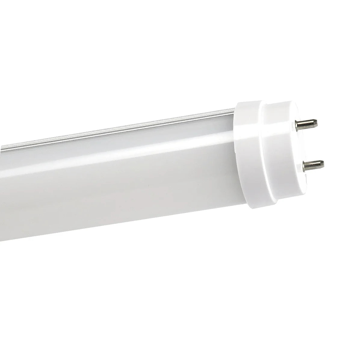 FLAIR LED-buis T8 G13/16W 1200 mm neutraalwit kopen