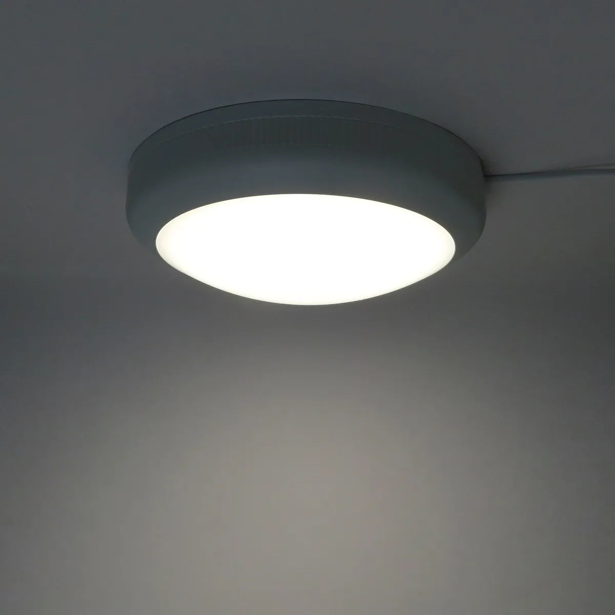 LED Bulkhead surface mount IP66 IK08 waterproof 36cm 30W