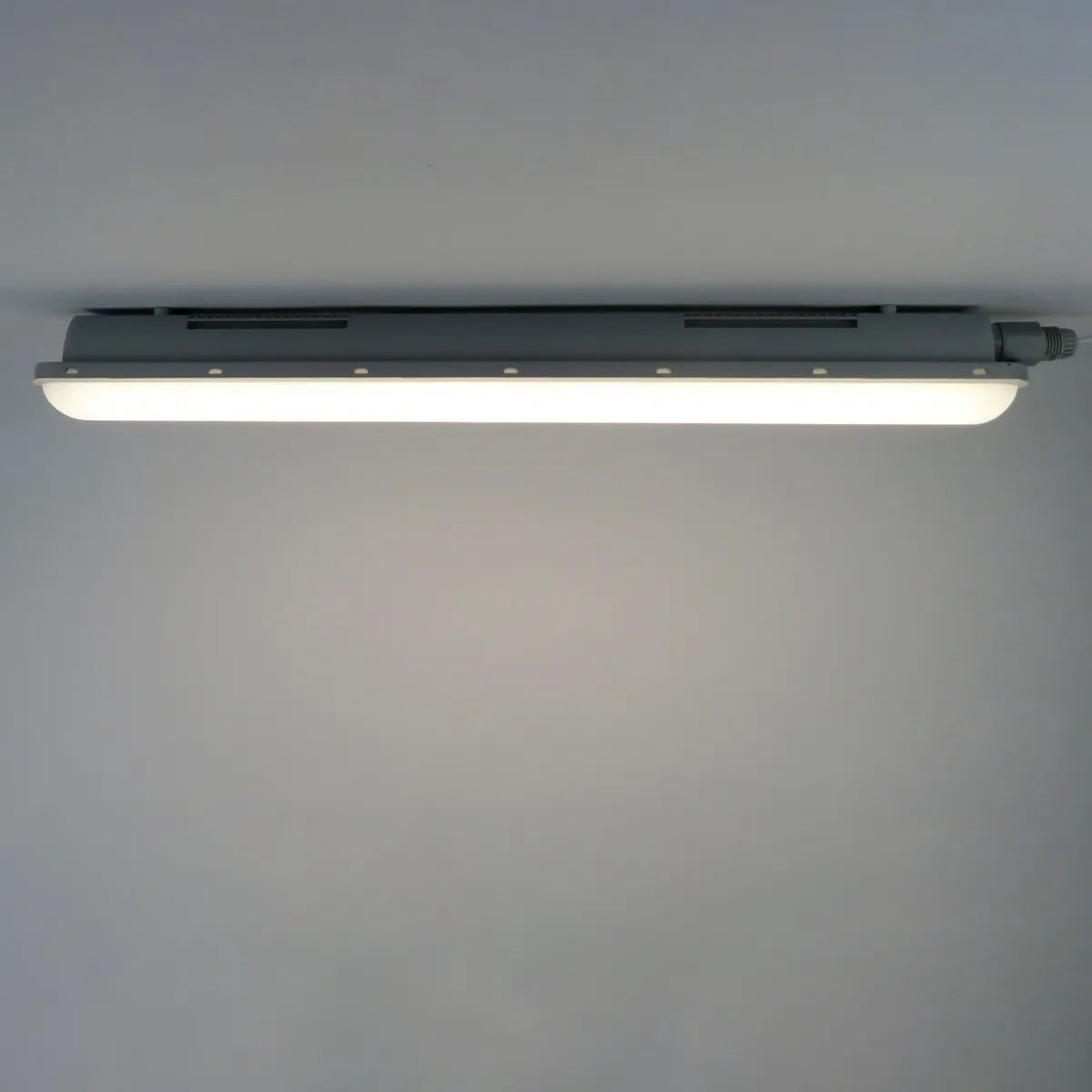LED Tri-proof | 150cm | 50W | IP65 | Philips driver | 155 lm/W