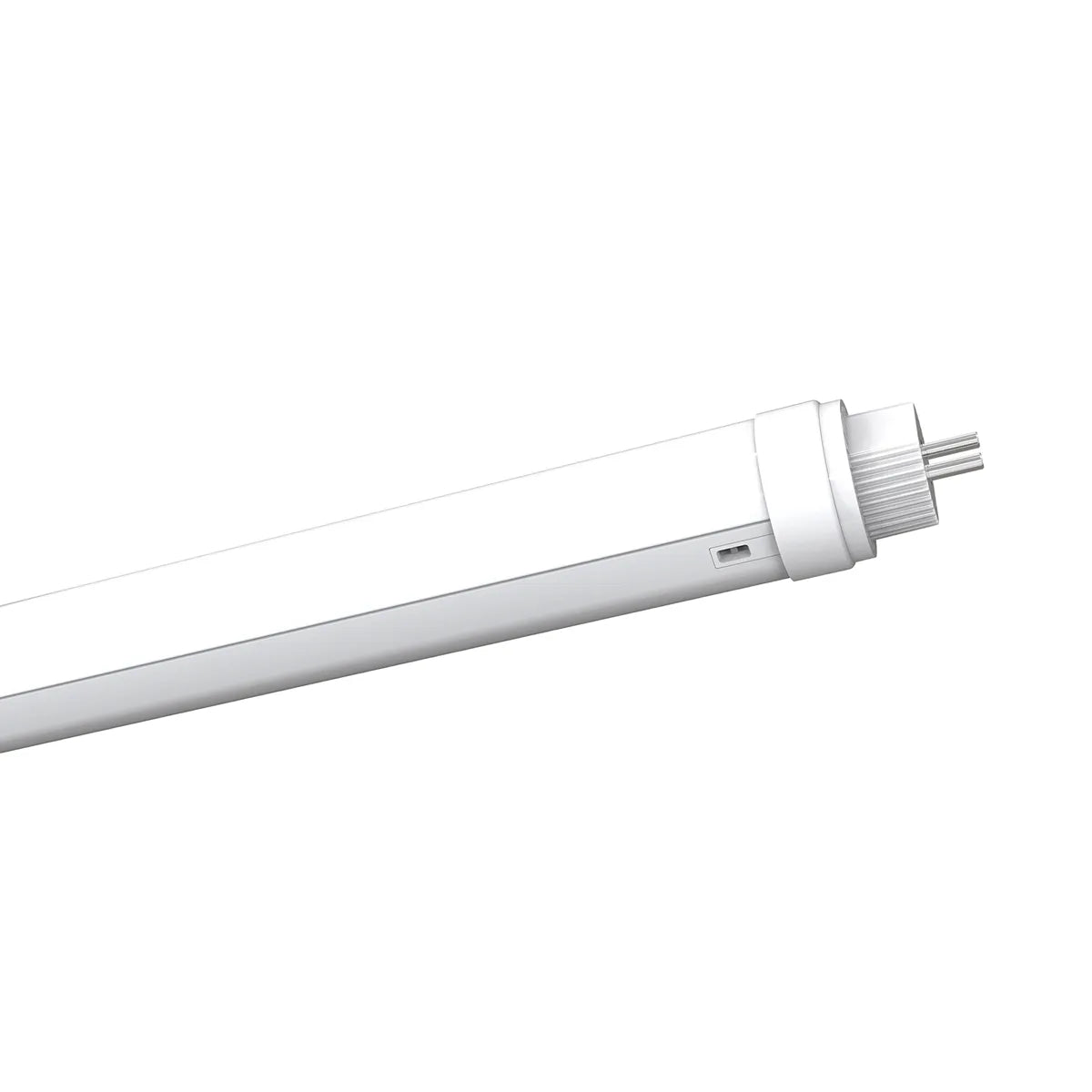 Lampe LED TL 150 cm blanc chaud t8