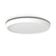 Smart Ceiling Lamps